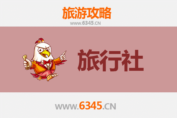 南充营山本地旅行社推荐与深度游玩攻略